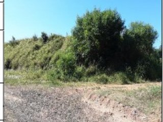 Imagem do imóvel TE69945