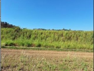 Imagem do imóvel TE02922