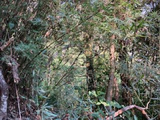 Imagem do imóvel TE30822