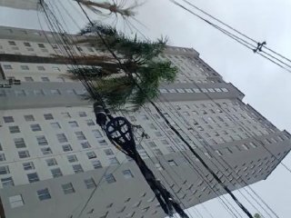 Imagem do imóvel AP50957