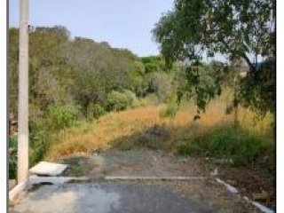 Imagem do imóvel TE99409