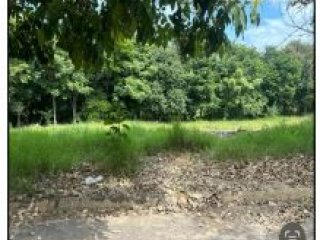 Imagem do imóvel TE56807