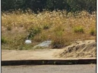 Imagem do imóvel TE95154