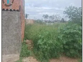 Imagem do imóvel TE81815