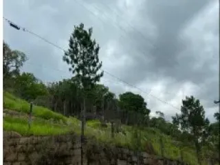 Imagem do imóvel TE79113