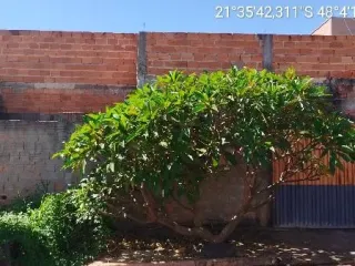 Imagem do imóvel CA93491