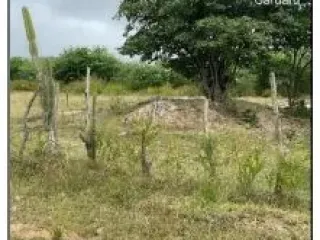 Imagem do imóvel AP89370